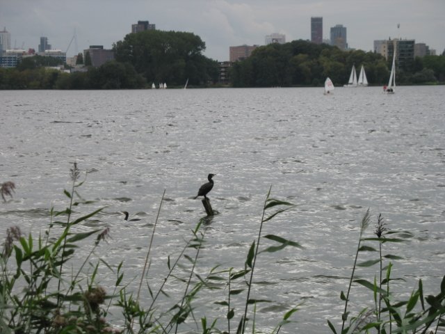 2011-09-11 Kralingsebos